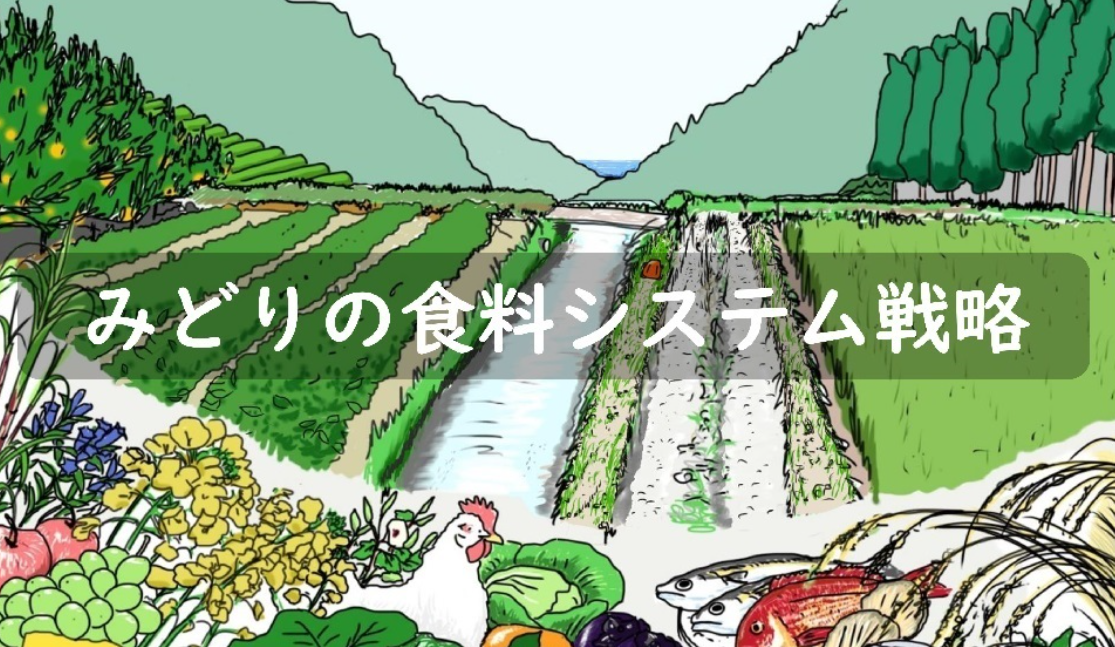 農林水産省　「みどりの食料システム戦略」認定されました。